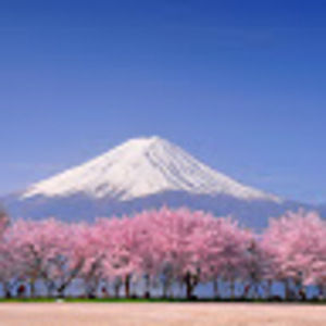 Meet your Posher, Ave